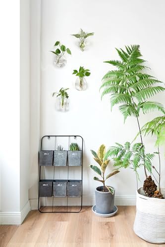 Mkono Wall Hanging Glass Terrariums Planter Flower Vase for Hydroponics Plants - Image 3
