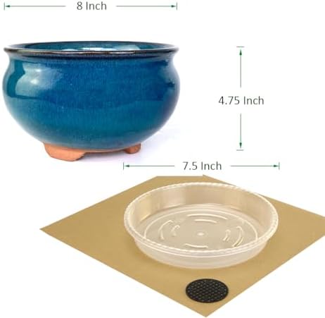 8 Inch Succulent Pot with Drainage and Saucer Glazed Terracotta Round Ceramic Succulent Planter Cactus Bonsai Plant Pot (Dark Green) - Image 7