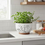 Terracotta Pots, 8+6 Inch Plant Pots, 2 Pcs with Drainage Holes - Image 6