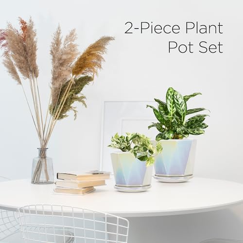 Coco Andrea Ceramic Pots for Plants, 5-Inch Iridescent White, 2-Piece Large - Image 2