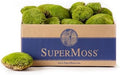 SuperMoss (21891) Topa Moss Preserved | Eco-Friendly Home & Wall Décor for Terrariums, Wedding Tables, Indoor Planters & More, 1564 cu in, Fresh Green by SuperMoss