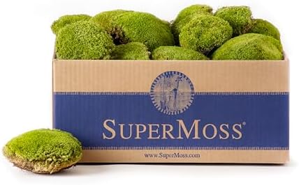 SuperMoss (21891) Topa Moss Preserved | Eco-Friendly Home & Wall Décor for Terrariums, Wedding Tables, Indoor Planters & More, 1564 cu in, Fresh Green by SuperMoss