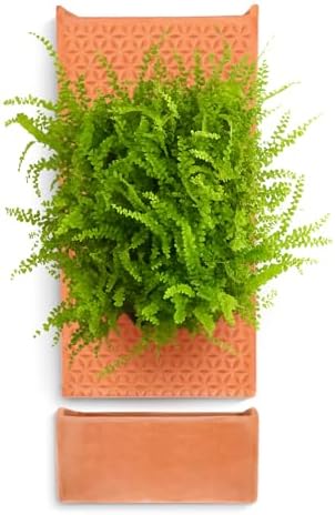 dadop Terracotta Self Watering Wall Pots for Indoor Plants, Hanging Planters for Indoor Plants Holder, Terra Cotta Pot Home Decor by DadopDS