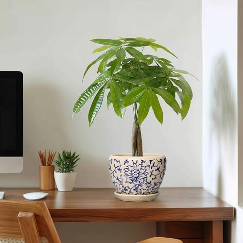 6 Inch Plant Pot, Ceramic Planters for Snake Plants, Retro Blue - Image 7