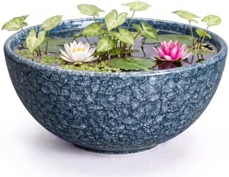Lotus Bowl, 10 Inch Ceramic Succulent Pots, Bonsai Pots, Scale Blue by Unknown