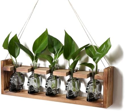 Plant Terrarium Propagation Stations Halloween Skull Planter Vase Skulls by YYHglass