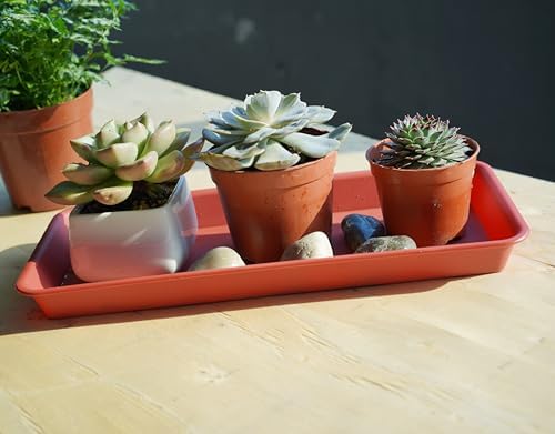 VUWEZ 2 Pack of Plastic Plant Tray Saucer Rectangular 20 21 inch, Planter Trays Saucers for Indoors Outdoor, Plant Water Drip Tray for Flower Pot Planter, Windowsill Trays (8.5 X 21'', Terracotta) - Image 3