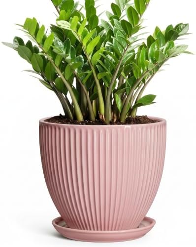 Flower Pot Ceramic, 10 Inch Indoor Planters with Saucer, Pink by Wliror