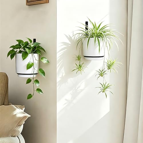 2 Pcs Wall Mounted Hanging Planter Vase for Indoor Outdoor Plants,Modern Metal Wall and Ceiling Hanging Flower Pot with Removable Flower Pot,Minimalist Decor for Herbs Succulents Flowers,6.7Inch,White - Image 4