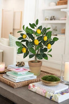 Artificial Potted Plants Small Fake Lemon Tree Artificial Lemon Tree in Pot - Image 5