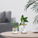 3Pcs Plant Propagation Station, Transparent Lidded Propagation Stations with Tray Hydroponic DIY Jars for Home Office Desktop, Straight - Image 3