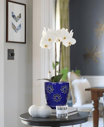 Oairse 6 inch Orchid Pots with Holes, Royal Blue Ceramic Orchid Pot for Repotting Small Indoor Plant Pots with Drainage Holes and Saucers Decorative Flower Planter for Orchids, Indoor Plant - Image 6