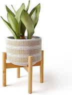 LA JOLIE MUSE Ceramic Planter for Plant, 9.4 Inch Indoor Planter with Stand by LaJol%C3%ADeMuse
