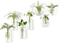 Mkono Wall Hanging Planter Propagation Station Glass Tubes Flower Vase for Hydroponics Plants, Bathroom, Home Office Living Room Decor Gift by Mkono