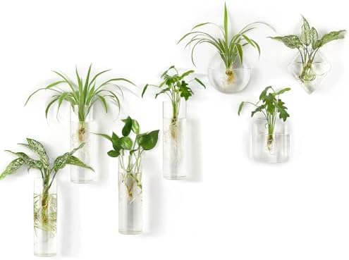 Mkono Wall Hanging Planter Propagation Station Glass Tubes Flower Vase for Hydroponics Plants, Bathroom, Home Office Living Room Decor Gift by Mkono