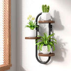 Wall Mounted Plant Stands Indoor Oval Plant Stand - 3 Tier Window Plant Shelf for Multiple Plants Space-Saving Corner Hanging Wall Stand for Small Spaces Planter Lover to Home Decor by VERASCOT