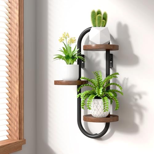Wall Mounted Plant Stands Indoor Oval Plant Stand - 3 Tier Window Plant Shelf for Multiple Plants Space-Saving Corner Hanging Wall Stand for Small Spaces Planter Lover to Home Decor by VERASCOT