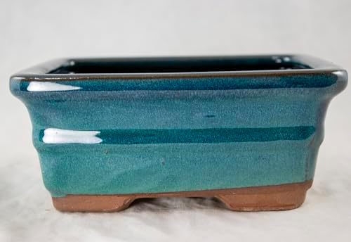 6" Rectangular Teal Green Bonsai Pot, Cactus & Succulent Planter + Soil + Tray + Rock + Mesh Kit - Image 3