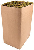 SuperMoss (22161 Sheet Moss Mini (Shredded) Dried, Fresh Green, 10lbs by SuperMoss