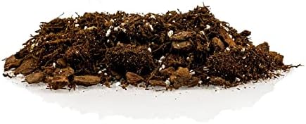 Premium Gardenera House Plant Potting Mix | Fern + New Zealand Bark + Perlite | Great for Pothos, Spider Plants, Montsera, Philodendron, English Ivy - 5 Quart Bag - Image 5