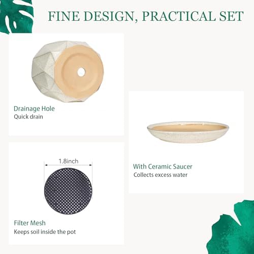 10 Inch Ceramic Plant Pot with Drainage Hole Mesh Net, Large Flower Pots for Indoor Plants with Saucer, Gardening Pots Outdoor (Silk White) - Image 4
