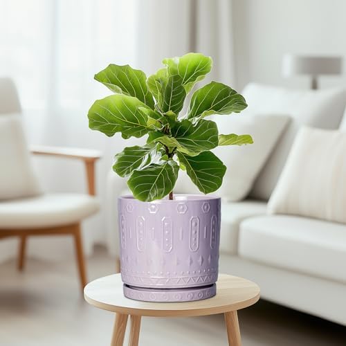 Eightpot Ceramic Flower Pots, 8 Inch Plant Pots Indoor Outdoor, Round Planter with Drainage Hole and Tray, Boho Planter, Decorative Pot for Plants, Apartment Decor, House Warming Gifts, Purple - Image 5