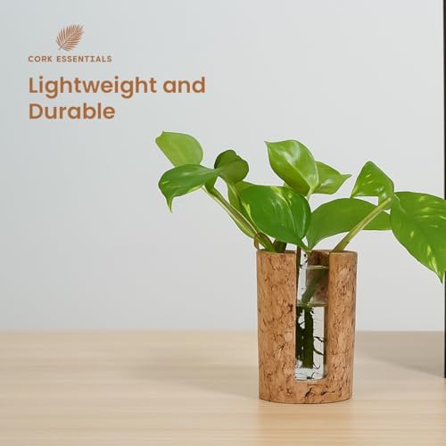 Natural Cork Cylindrical Propagation Planter - Image 4