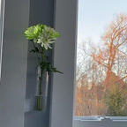 JEUIHAU 8 PCS 5.9 in x 1.85 in Glass Wall Mounted Planters, Wall Glass Tube Plant Holder, Clear Flower Vases Hanging, Propagation Containers for Hydroponics Plants, Garden Decor - Image 6