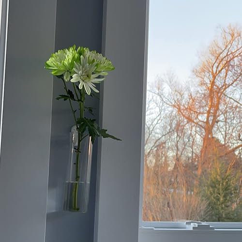 JEUIHAU 8 PCS 5.9 in x 1.85 in Glass Wall Mounted Planters, Wall Glass Tube Plant Holder, Clear Flower Vases Hanging, Propagation Containers for Hydroponics Plants, Garden Decor - Image 6