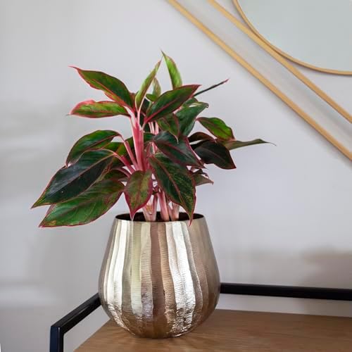 Brass Hammered Planter for Plants and Succulents - Modern, Vintage, Mid-Century Modern - Gold Colored Decorative Round Metal Flower Pot Holder for Living Room, Kitchen, Office - Image 6