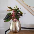 Brass Hammered Planter for Plants and Succulents - Modern, Vintage, Mid-Century Modern - Gold Colored Decorative Round Metal Flower Pot Holder for Living Room, Kitchen, Office - Image 6