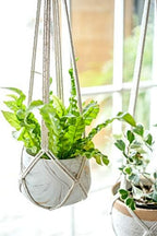 Dahey Macrame Plant Hanger and Plant Basket for Home Decor - Image 4