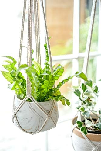 Dahey 10 Pcs Hanging Flower Pots and 2 Pcs Macrame Plant Hanger Indoor Hanging Planter for Railing Fence Balcony Garden Home Decoration - Image 7