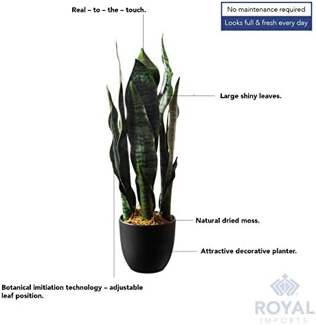 Royal Imports Sansevieria Leaf Snake Plant Artificial Plants Indoor 19"Tall - Image 4
