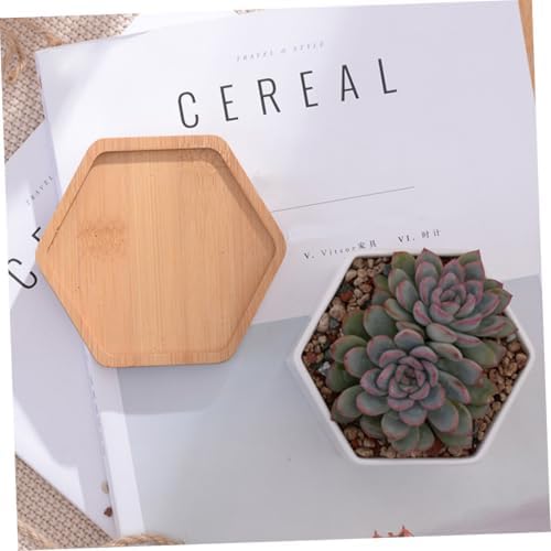 White Ceramic Hexagonal Succulent Pots, with Bamboo Tray 2 Sets - Image 7
