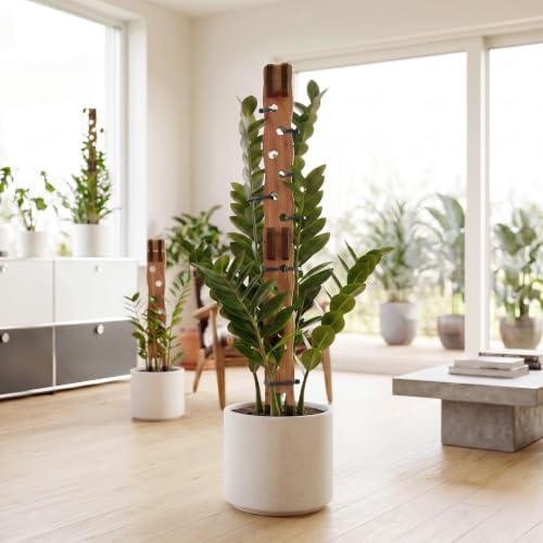 Wooden Extendable Plant Trellis for Potted Plants Indoor, 2 Sets - Image 6
