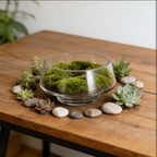 MAGICLULU Wide Opening Glass Terrarium for Succulent Plants and Indoor Plants, Handcrafted Elegant Desktop Glass Planter with Crystal Display, for Tabletop Terrarium and Workspace - Image 5