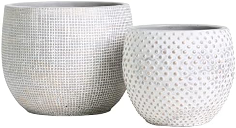 Olly & Rose Ceramic Cream Gold Plant Pot Set 2-6.8" and 5.5" Indoor Planters Cement Outdoor Flower Pots by OllyRoseEngland