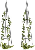 Evergreen Metal Garden Obelisk Trellis for Climbing Plants Outdoor, Indoor Plant Trellis for Potted Plants, Floral Pattern Arch Trellis (Black, 6 ft. Pyramid, Set of 2) by EvergreenGarden