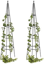 Evergreen Metal Garden Obelisk Trellis for Climbing Plants Outdoor, Indoor Plant Trellis for Potted Plants, Floral Pattern Arch Trellis (Black, 6 ft. Pyramid, Set of 2) by EvergreenGarden