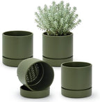 Phoenix Vine 6 Inch Planter Pot with Drainage Hole & Saucer, Deep Water Catch Tray, Straight Cylindrical Round Pot for Plants, Olive, Pack of 4, 23-D-S-4 by Phoenix+Vine