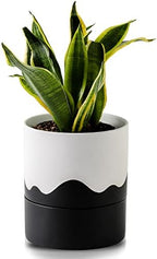 Nihow Ceramic Self Watering Plant Pot for Indoor Plants,6 Inch,White Black by Nihow
