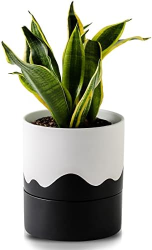 Nihow Ceramic Self Watering Plant Pot for Indoor Plants,6 Inch,White Black by Nihow