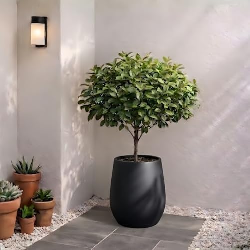 KUTE NEST 11.4" Premium Corso Fiberstone Outdoor Planter - Black - Image 3