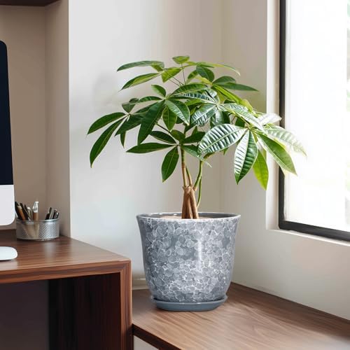 Ceramic Plant Pots, 8 Inch Plant Pot with Drainage, Grey - Image 3