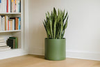 D'vine Dev Plastic Planter Pot with Saucer, 14 in, Olive, 74-X-I-4 - Image 6