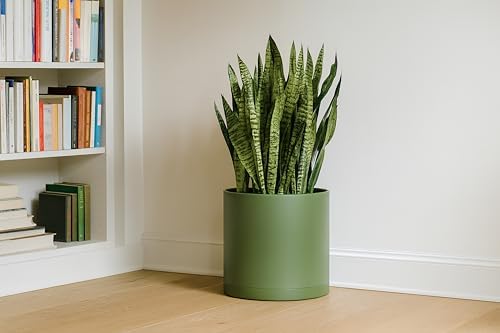 D'vine Dev Plastic Planter Pot with Saucer, 14 in, Olive, 74-X-I-4 - Image 6
