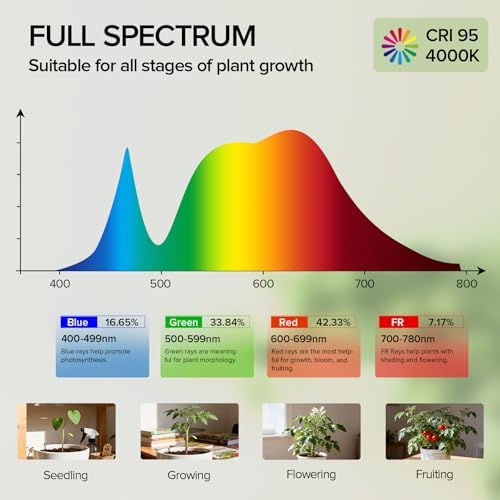 30W BR30 Grow Light Bulb, E26, Remote Timer, Full Spectrum 4000K - Image 7