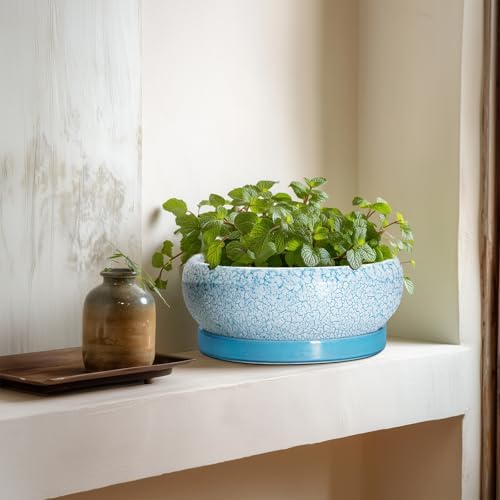 Succulent Pots 8 Inch - Ceramic Bonsai Pots with Drainage Hole and Saucer, Succulent Planters for Indoor Plants Outdoor, Round Shallow Planter Bowl, Porch Decor, Gardening Gifts, Blue - Image 6