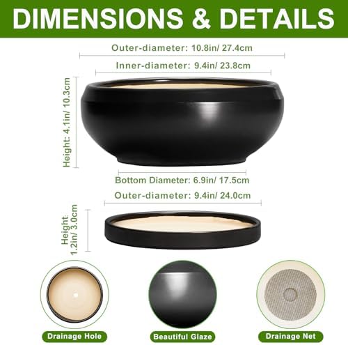 Bonsai Pots 10 Inch - Ceramic Succulent Planters Indoor Outdoor, Bonsai Pots with Drainage Hole and Tray, Modern Shallow Planter, Round Bowl Planter, Garden Decor, Garden Gift, Black - Image 2